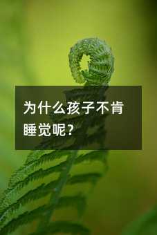 為什么孩子不肯睡覺呢?