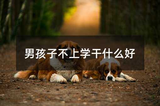 男孩子不上學(xué)干什么好