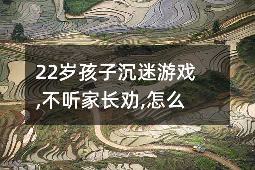 22歲孩子沉迷游戲,不聽家長(zhǎng)勸,怎么辦