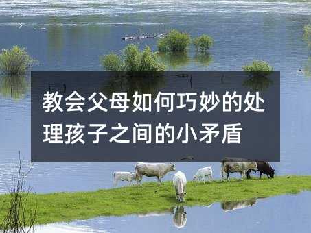 �̕�(hu��)��ĸ��������̎������֮�g��Сì��