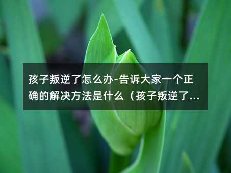 孩子叛逆了怎么辦-告訴大家一個(gè)正確的解決方法是什么(孩子叛逆了怎么辦-告訴大家一個(gè)正確的解決方法)