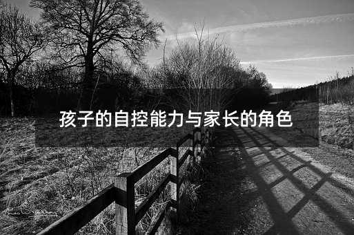孩子的自控能力與家長(zhǎng)的角色