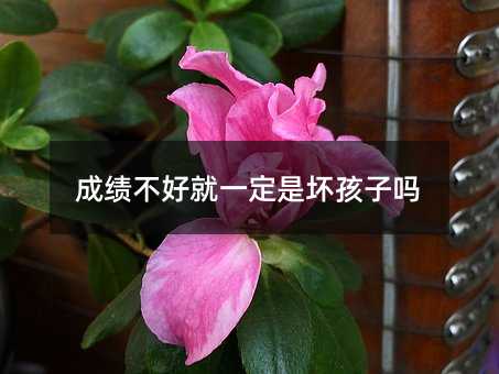 成績不好就一定是壞孩子嗎