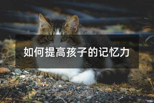 如何提高孩子的記憶力