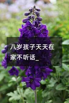 八歲孩子天天在家不聽話_