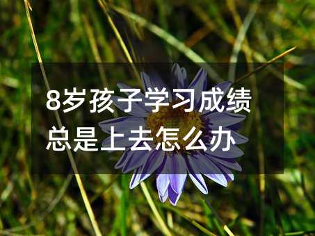 8歲孩子學習成績總是上去怎么辦