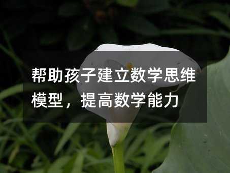 幫助孩子建立數學思維模型,提高數學能力