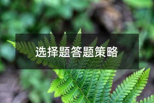 �x���}���}����