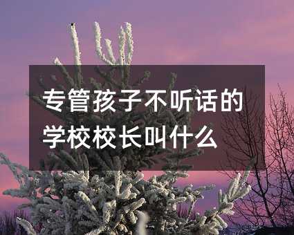 專管孩子不聽話的學校校長叫什么