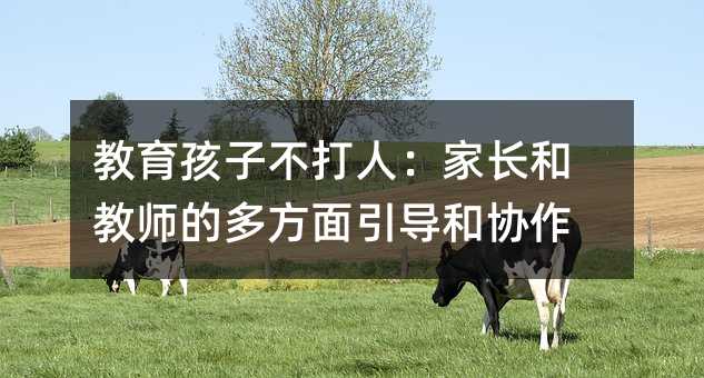 教育孩子不打人:家長和教師的多方面引導和協作