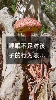 睡眠不足對孩子的行為表現和學習能力產生的影響