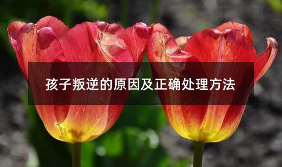 孩子叛逆的原因及正確處理方法