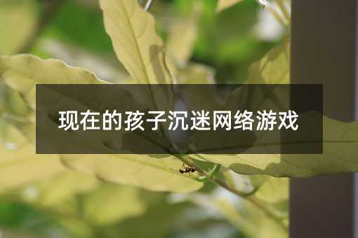 現在的孩子沉迷網絡游戲