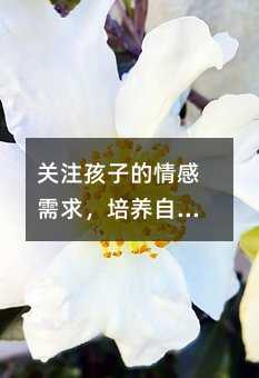 關注孩子的情感需求,培養自尊心和自信心