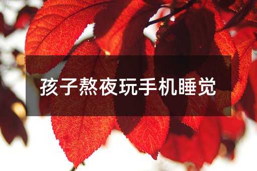 孩子熬夜玩手機睡覺