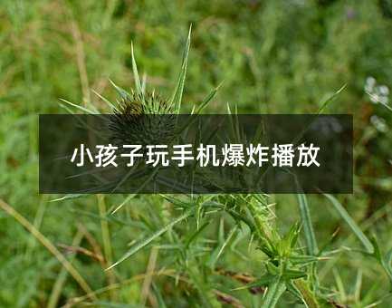 С�������֙C��ը����