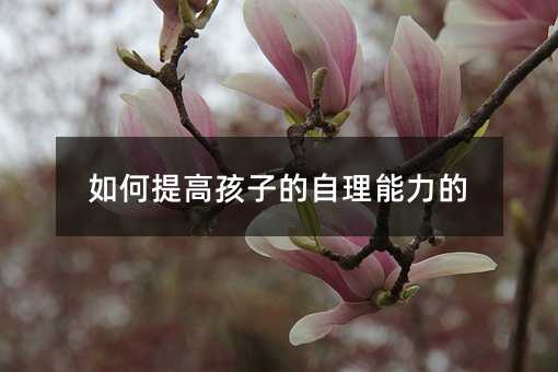如何提高孩子的自理能力的