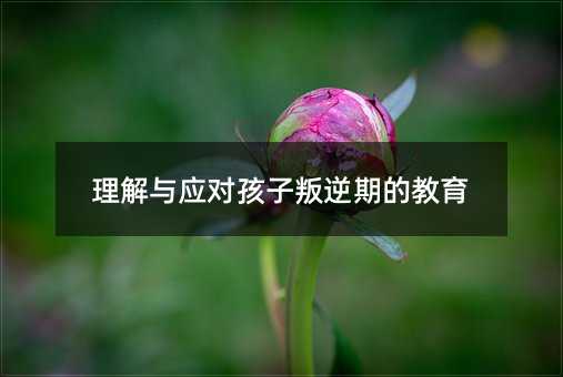 �����c�������������ڵĽ���