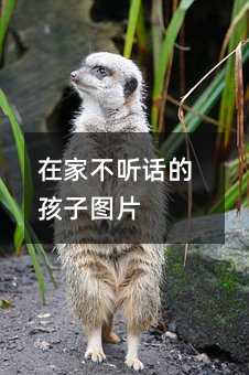 在家不聽話的孩子圖片