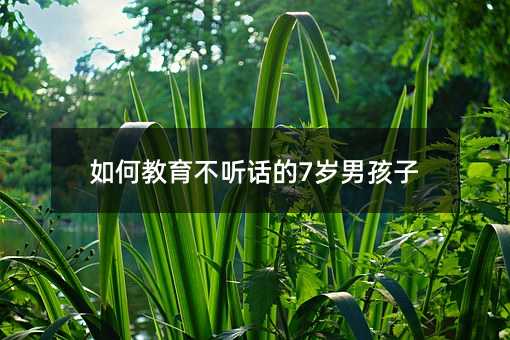 如何教育不聽話的7歲男孩子