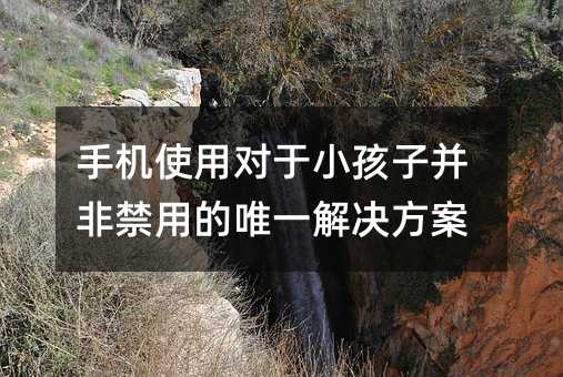 ֙C(j)ʹÌ(du)СӲǽõΨһQ