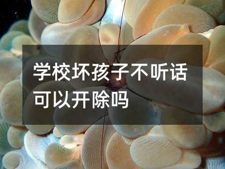 學校壞孩子不聽話可以開除嗎