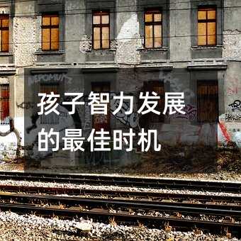 孩子智力發展的最佳時機