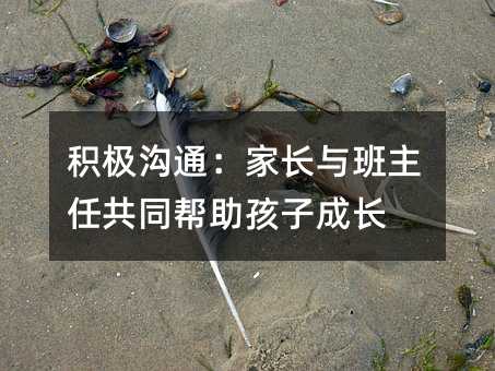 積極溝通:家長與班主任共同幫助孩子成長