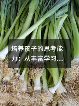 ���B���ӵ�˼�����������S���W���h����������Q���}