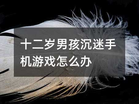 ʮ���q�к������֙C�Α���ô�k