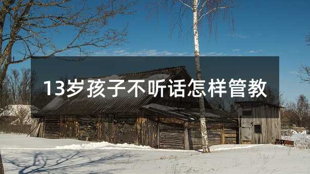 13歲孩子不聽話怎樣管教