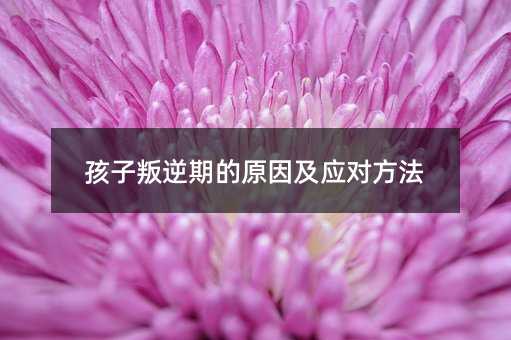 孩子叛逆期的原因及應對方法