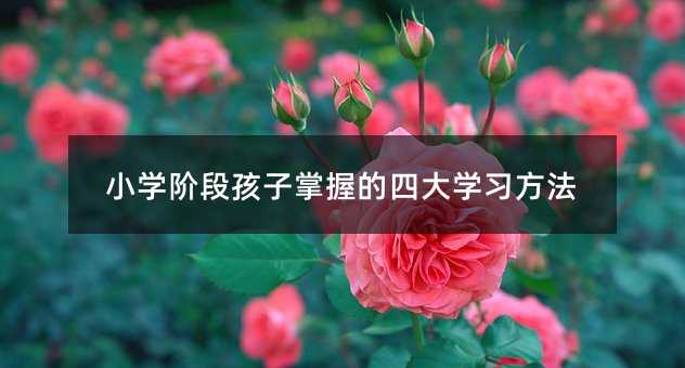 小學階段孩子掌握的四大學習方法