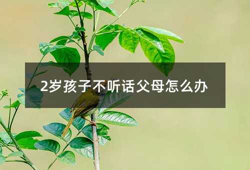 2歲孩子不聽話父母怎么辦
