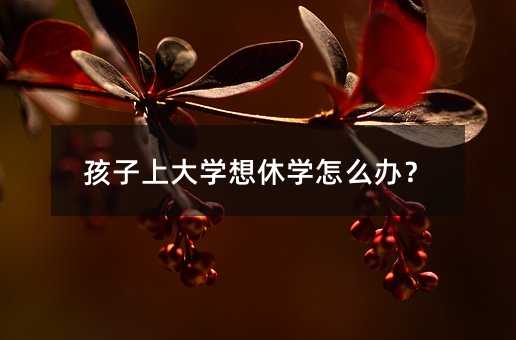 孩子上大學想休學怎么辦?