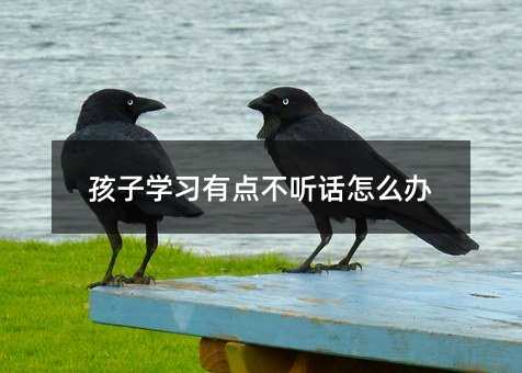 孩子學習有點不聽話怎么辦