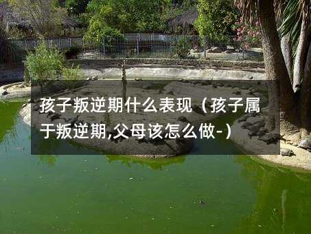 ����������ʲô���F�����ӌ���������,��ĸԓ��ô��-��