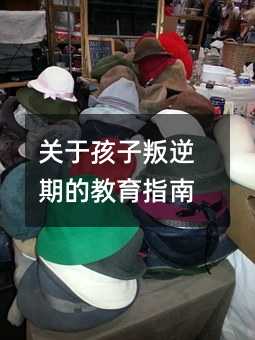 關于孩子叛逆期的教育指南