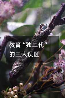 教育“獨二代”的三大誤區
