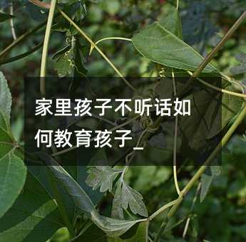 家里孩子不聽話如何教育孩子_