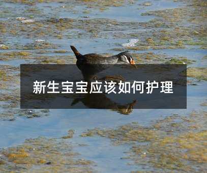 ����������ԓ����o��