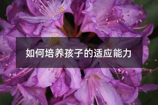 如何培養孩子的適應能力