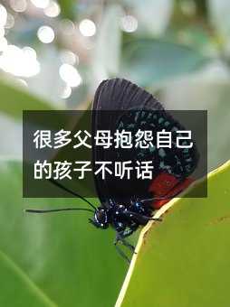 很多父母抱怨自己的孩子不聽話