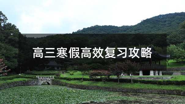 高三寒假高效復習攻略