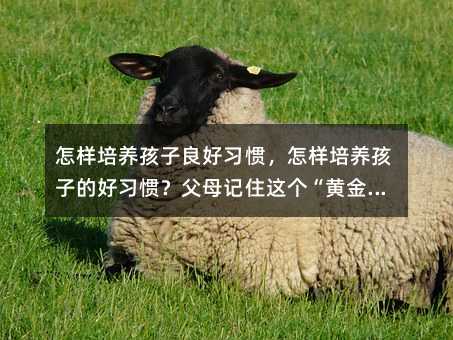 BTBӵĺTĸӛס@S𷨄tʡ