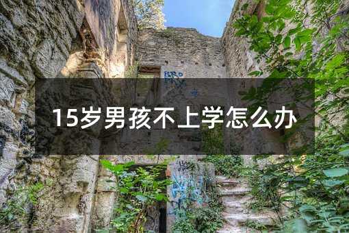15歲男孩不上學(xué)怎么辦