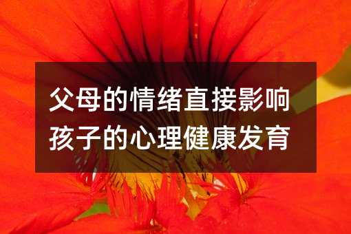 ��ĸ����wֱ��Ӱ푺��ӵ����������l(f��)��