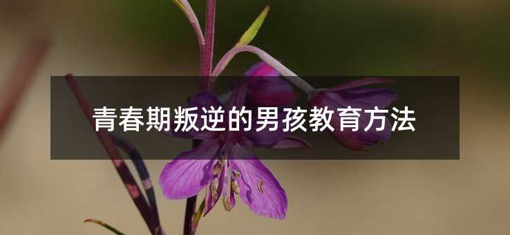 青春期叛逆的男孩教育方法