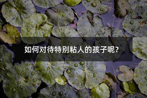 如何對待特別粘人的孩子呢?