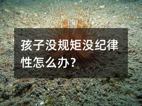 ���ӛ]Ҏ�؛]�o������ô�k��